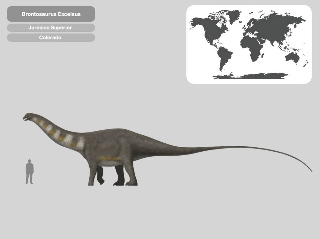 Deviant Brontosaurus Perfil Brontosaurus Excelsus by PaleoHistoric on DeviantArt