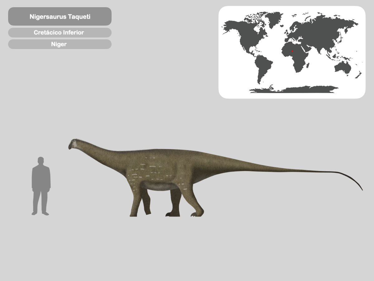 Nigersaurus Predators Perfil Nigersaurus Taqueti by PaleoHistoric on DeviantArt