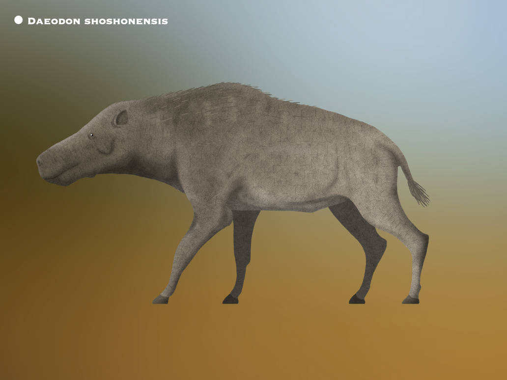 Daeodon shoshonensis @Paleo historic by PaleoHistoric on DeviantArt