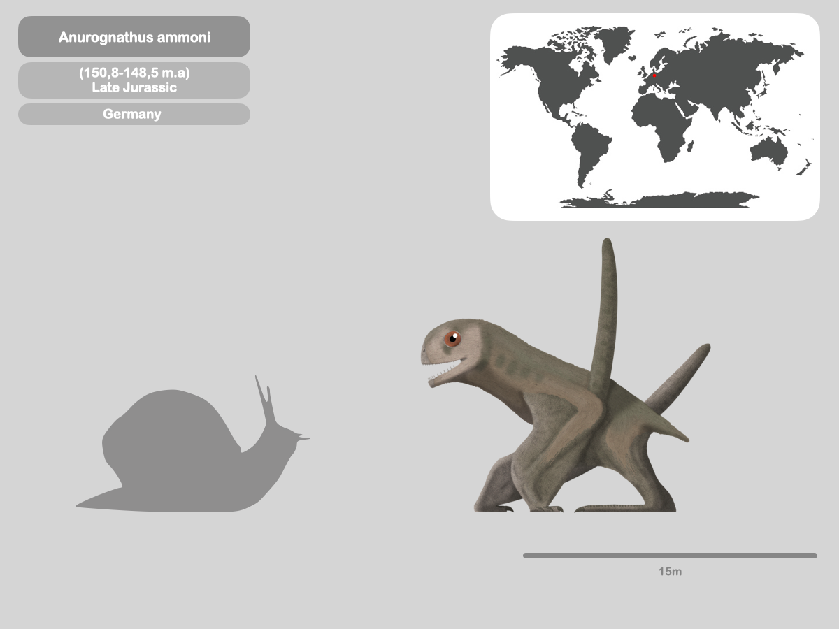 Perfil Anurognathus Ammoni By PaleoHistoric On DeviantArt perfil-anurognathus-ammoni-by-paleohistoric-on-deviantart