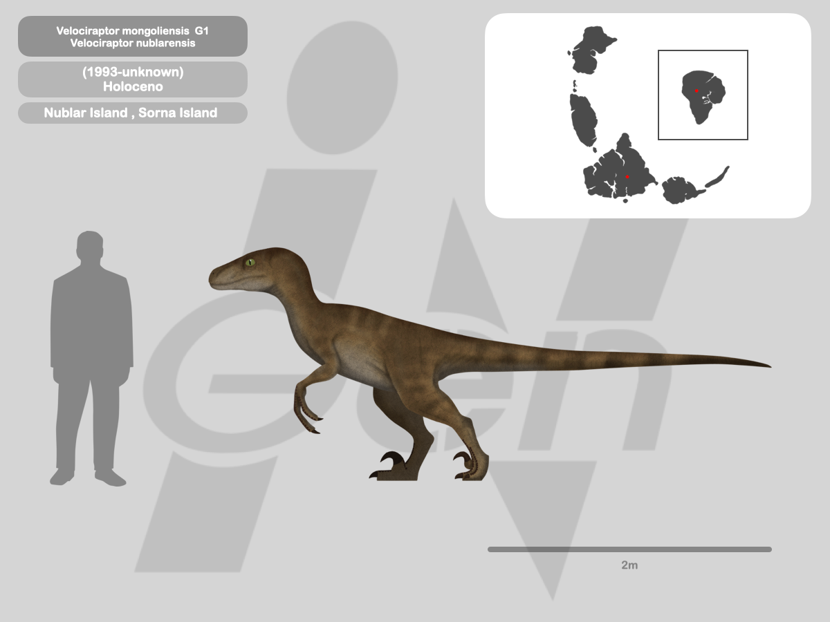 Jp Raptor Size Perfil Velociraptor Mongoliensis JP by PaleoHistoric on DeviantArt