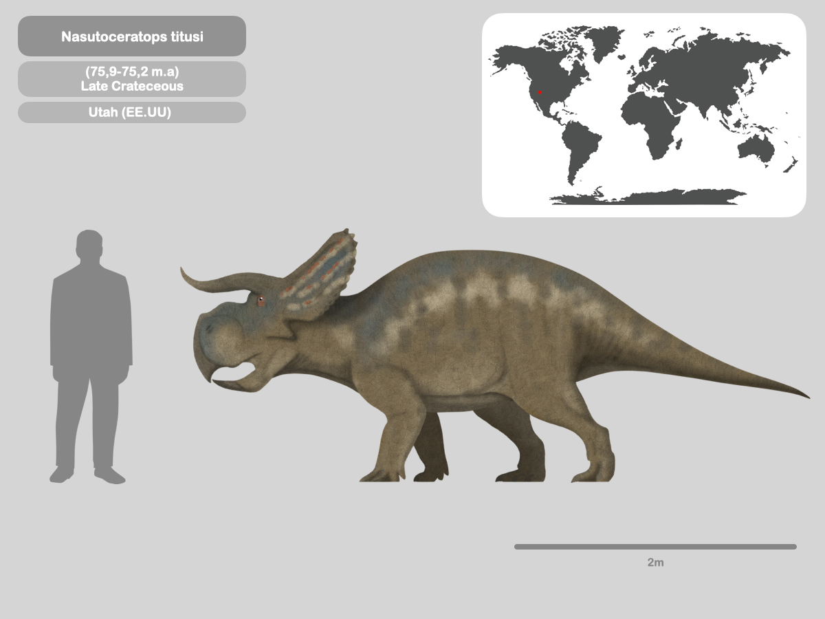 Perfil Nasutoceratops titusi by PaleoHistoric on DeviantArt
