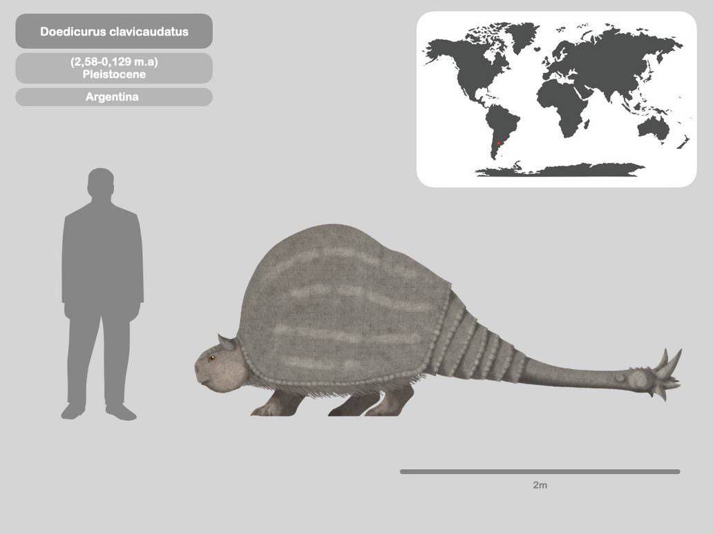 Doedicurus Model Perfil Doedicurus clavicaudatus by PaleoHistoric on DeviantArt