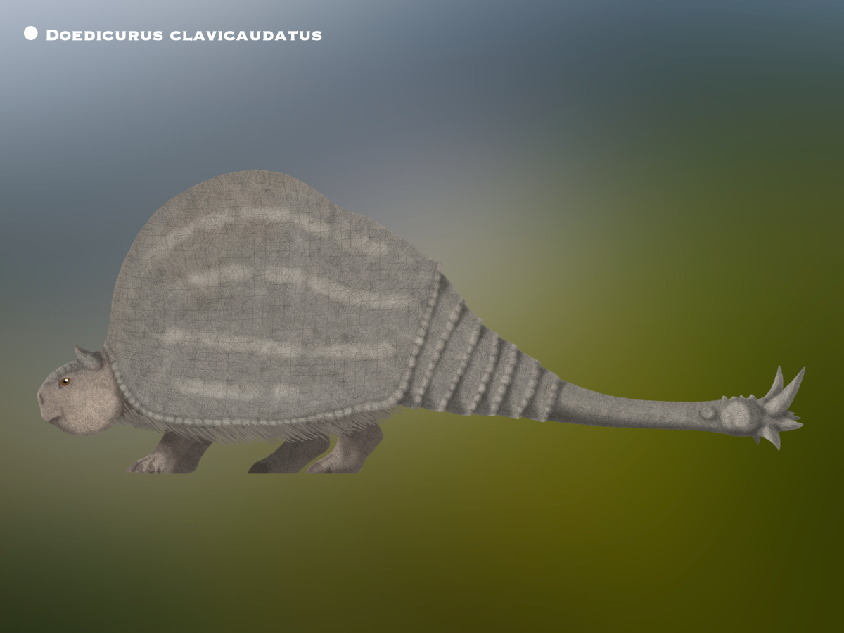 Doedicurus Model Doedicurus Clavicaudatus @Paleohistoric by PaleoHistoric on DeviantArt