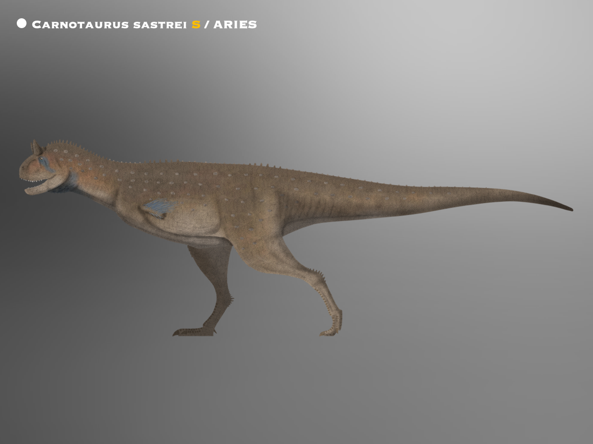 Carnotaurus for Wikipedia by FredtheDinosaurman on DeviantArt