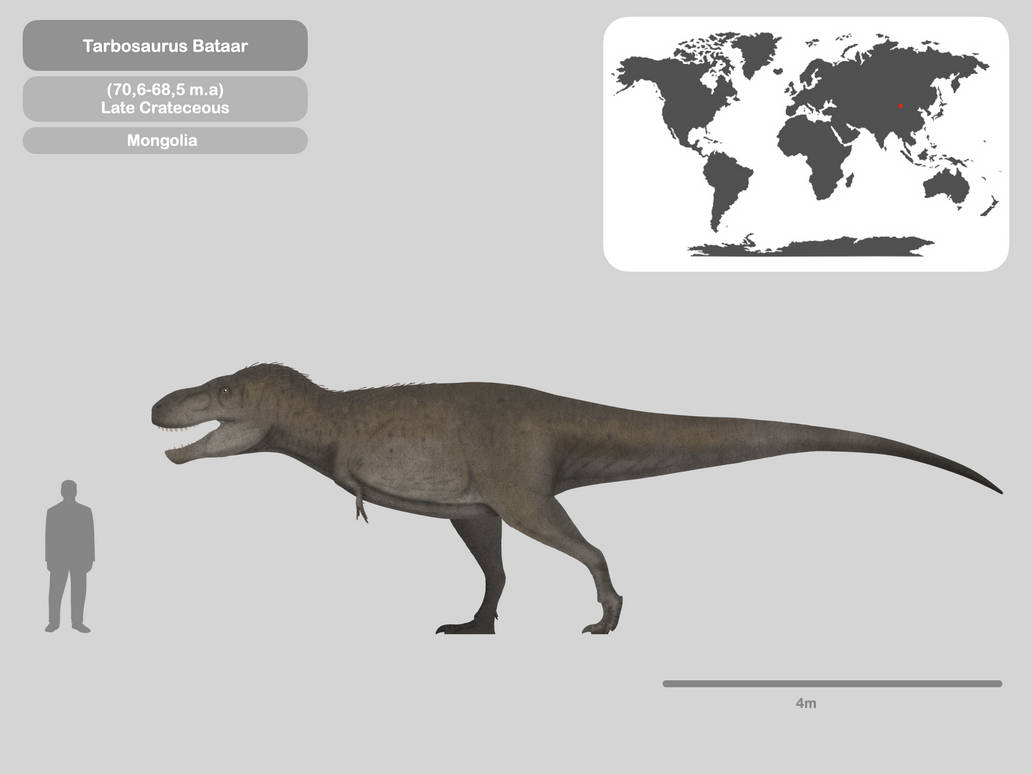 Perfil Tarbosaurus Bataar By PaleoHistoric On DeviantArt perfil-tarbosaurus-bataar-by-paleohistoric-on-deviantart