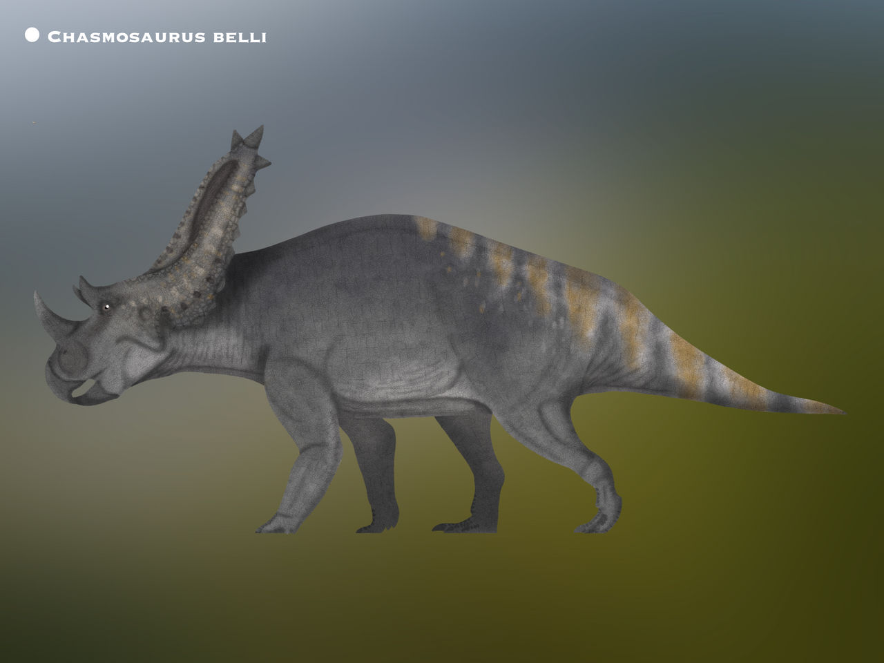 Chasmosarus Chasmosaurus belli @Paleohistoric by PaleoHistoric on DeviantArt