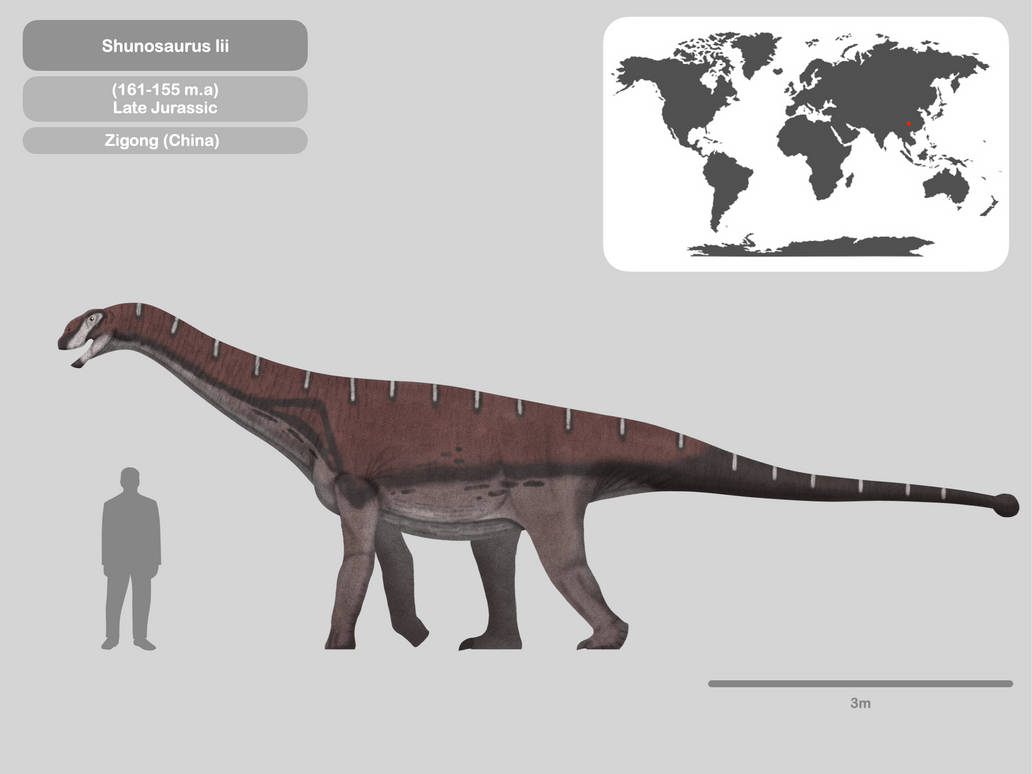 Hungasaurus Perfil Shunosaurus lii by PaleoHistoric on DeviantArt