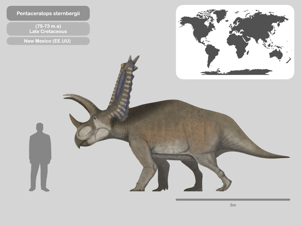 Pentaceratops Size Two New Ceratopsids Knitting Together Horned pentaceratops-size-two-new-ceratopsids-knitting-together-horned