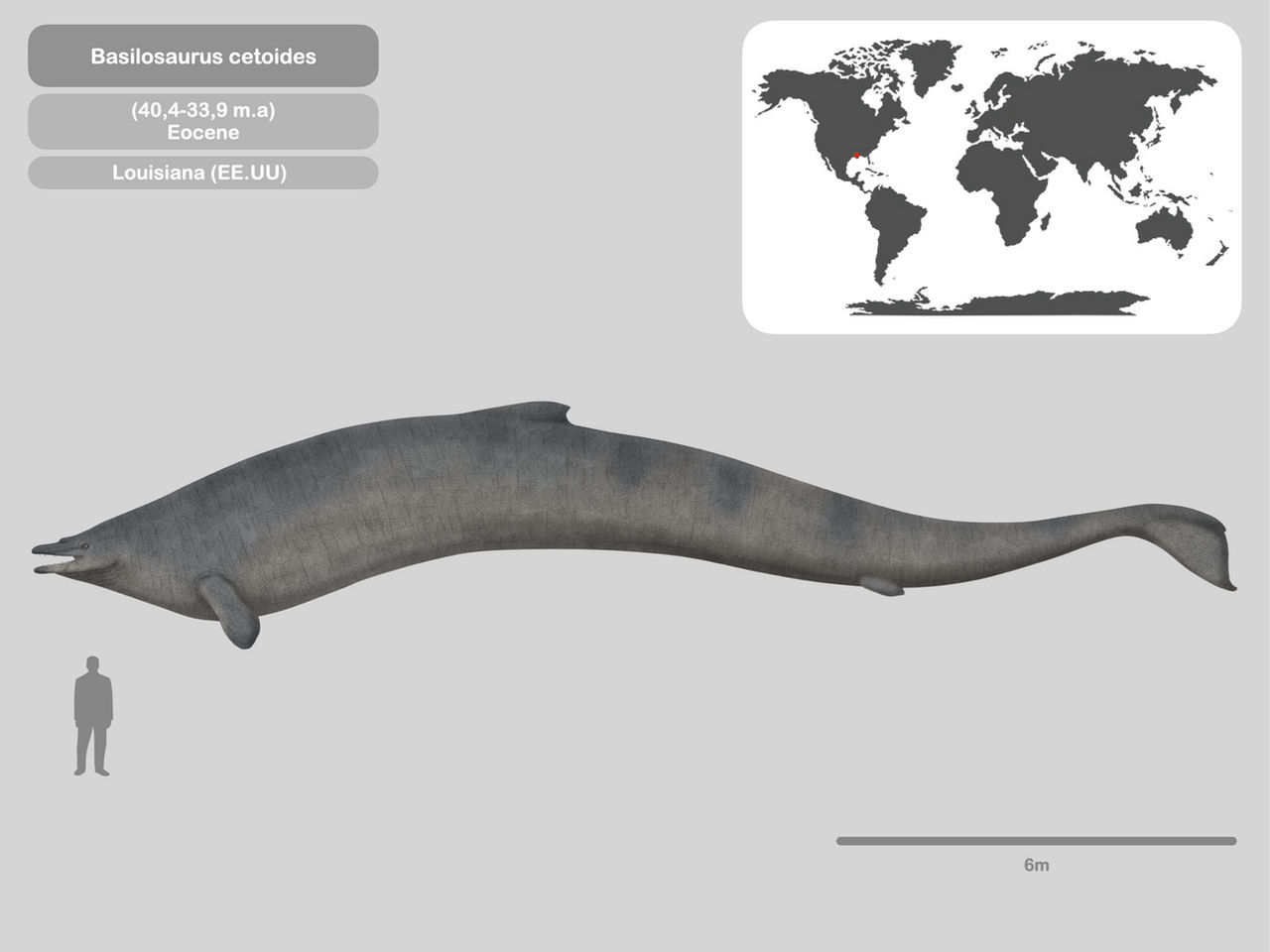 Basilasaruous Basilosaurus On Land at Georgia Jarman blog