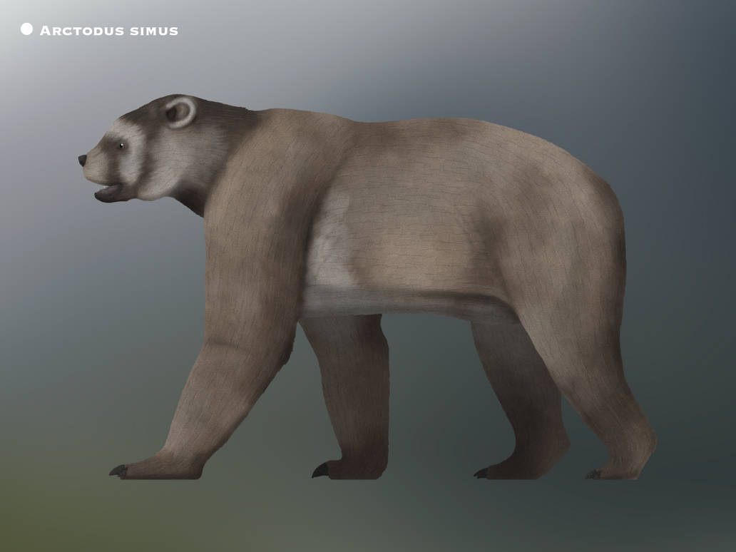 Arctodus Arctodus simus @PaleoHistoric by PaleoHistoric on DeviantArt