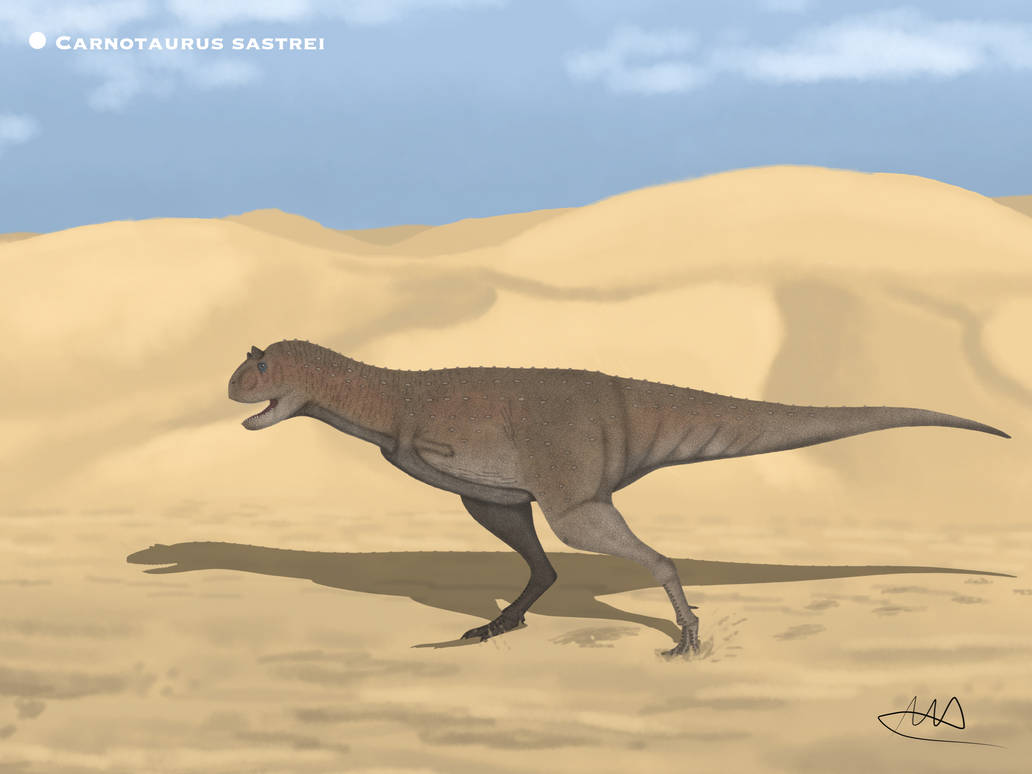 Carnotaurus Sastrei S Paleohistoric By PaleoHistoric On DeviantArt carnotaurus-sastrei-s-paleohistoric-by-paleohistoric-on-deviantart