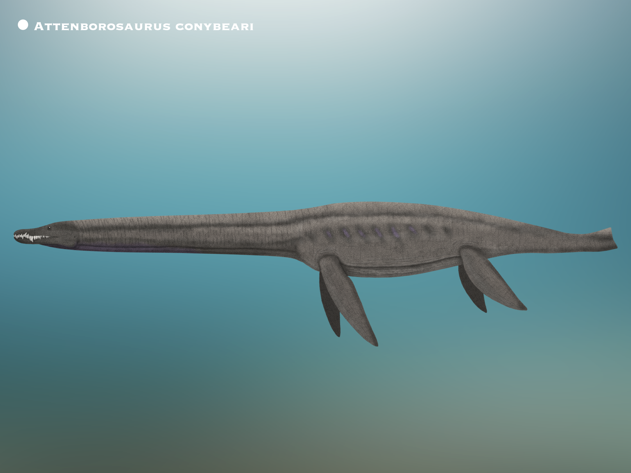 Attenborosaurus Conybeari PaleoHistoric By PaleoHistoric On DeviantArt attenborosaurus-conybeari-paleohistoric-by-paleohistoric-on-deviantart