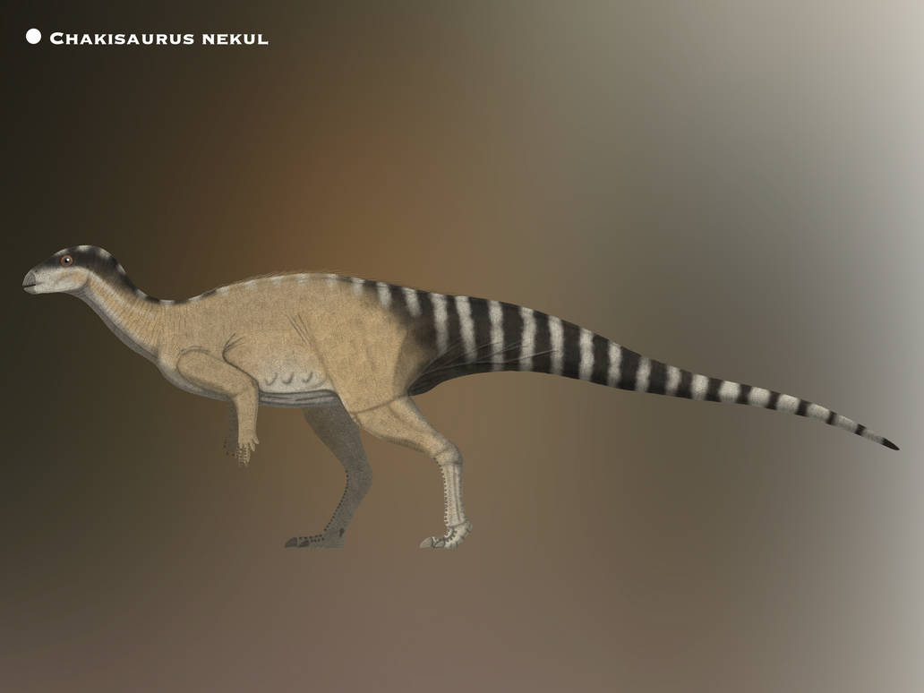 Chakisaurus Size Chakisaurus nekul @PaleoHistoric by PaleoHistoric on DeviantArt
