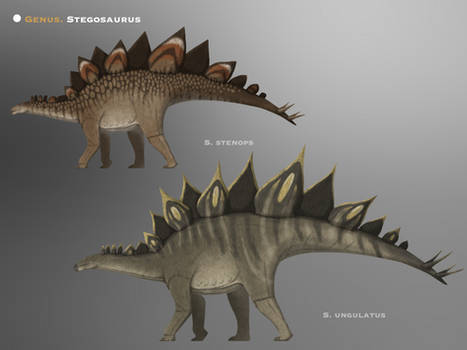 Genus Stegosaurus @PaleoHistoric