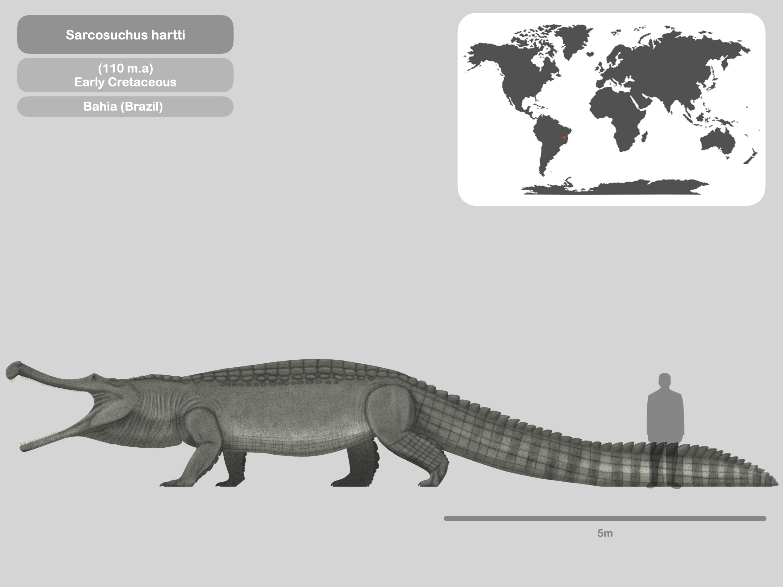 Perfil Sarcosuchus Hartti By PaleoHistoric On DeviantArt perfil-sarcosuchus-hartti-by-paleohistoric-on-deviantart