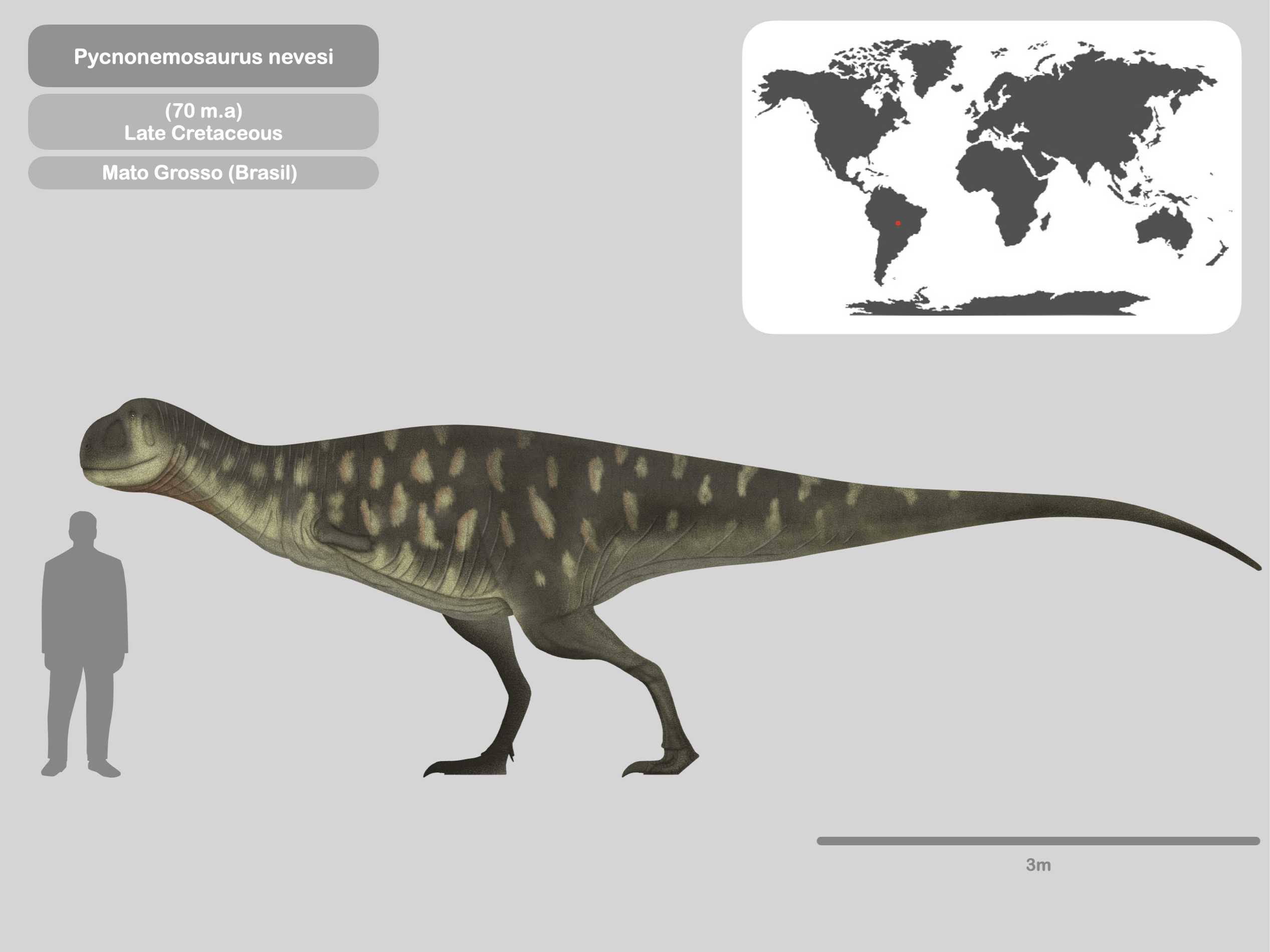 Perfil Pycnonemosaurus nevesi by PaleoHistoric on DeviantArt