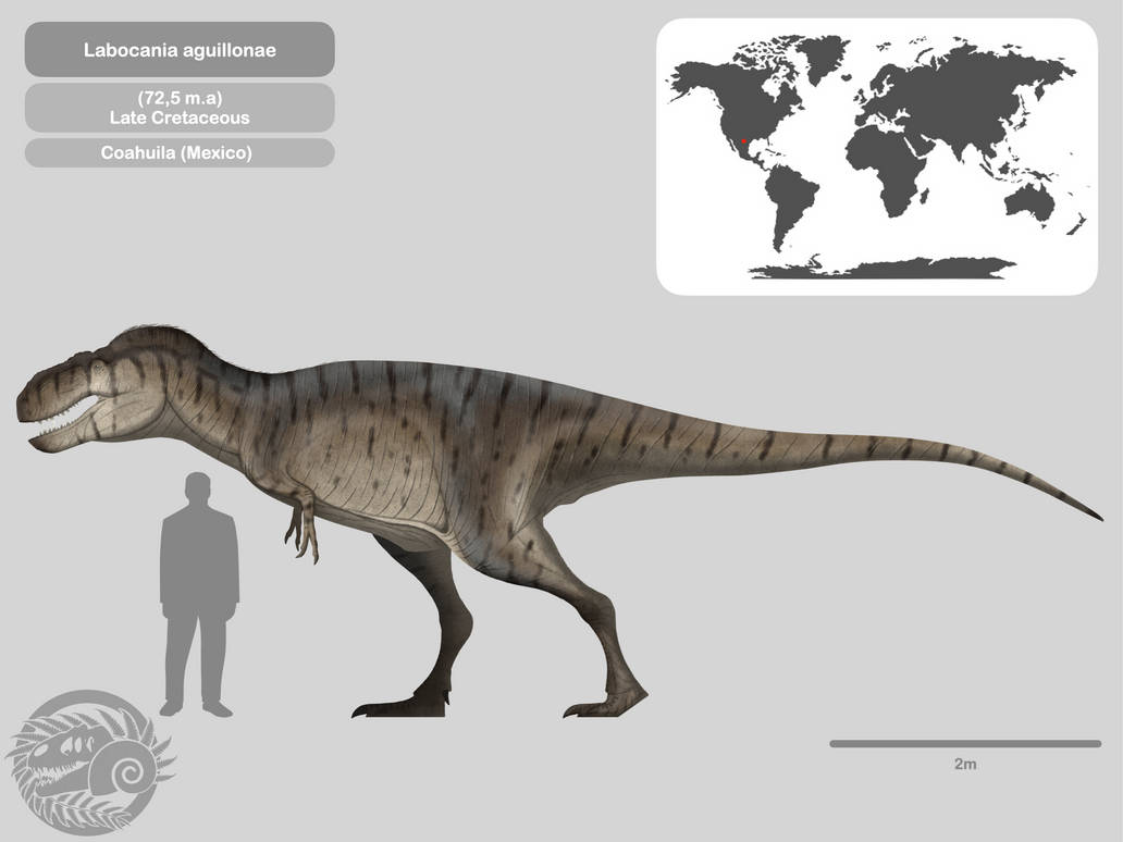 Labocania Perfil Labocania aguillonae by PaleoHistoric on DeviantArt