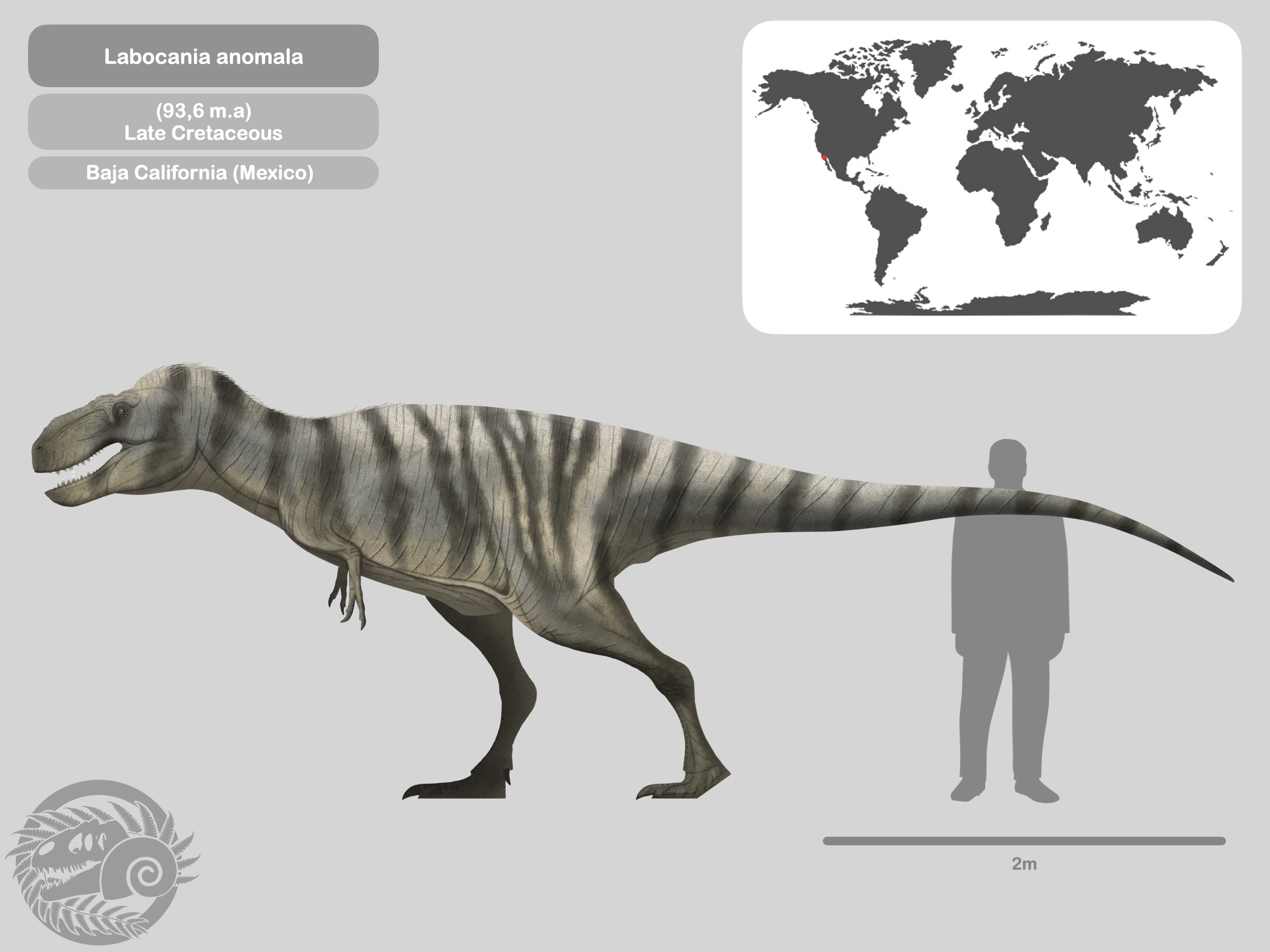 Labocania Perfil Labocania anomala by PaleoHistoric on DeviantArt
