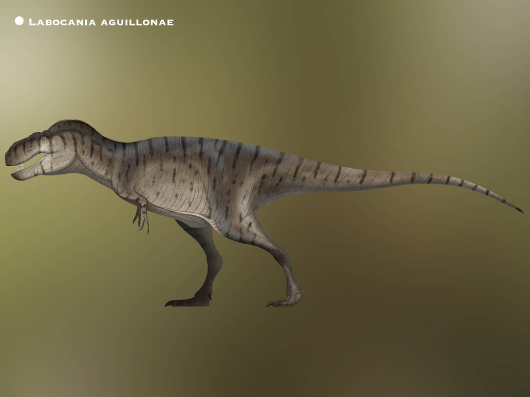 Labocaniia Labocania aguillonae @PaleoHistoric by PaleoHistoric on DeviantArt