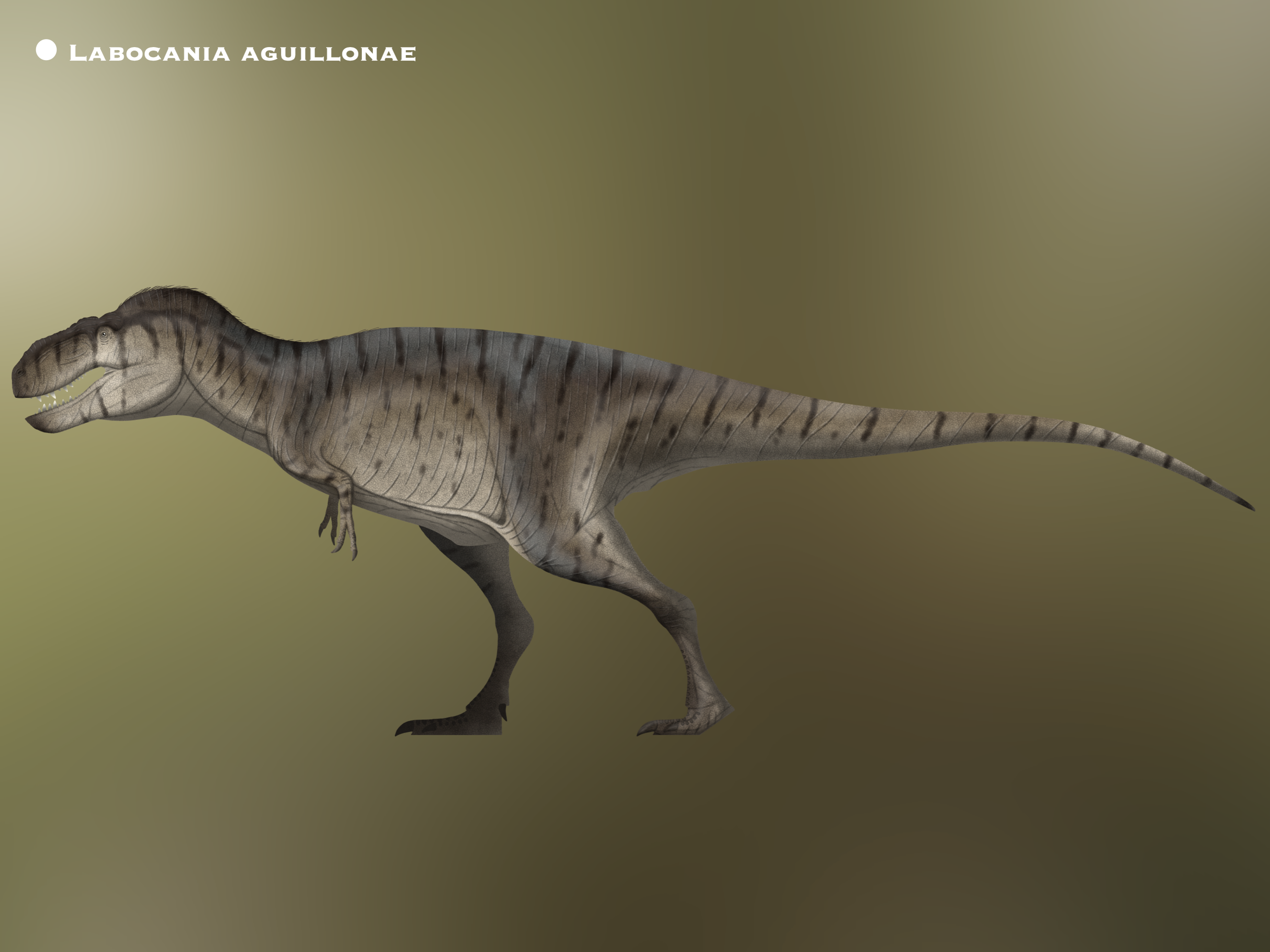 Labocania Labocania aguillonae @PaleoHistoric by PaleoHistoric on DeviantArt