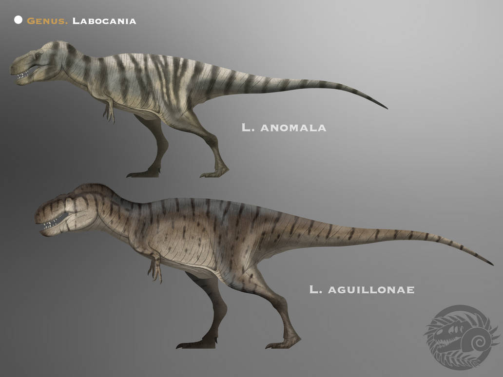 Labocania Genero Labocania @PaleoHistoric by PaleoHistoric on DeviantArt