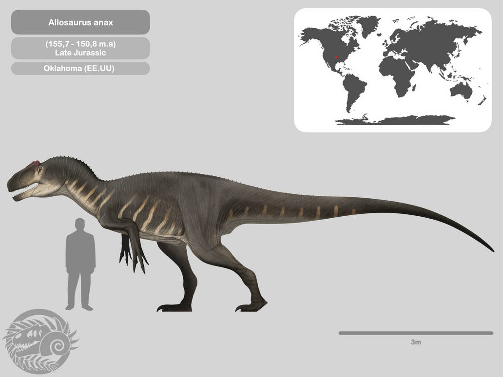 Asoaurus Perfil Allosaurus anax by PaleoHistoric on DeviantArt