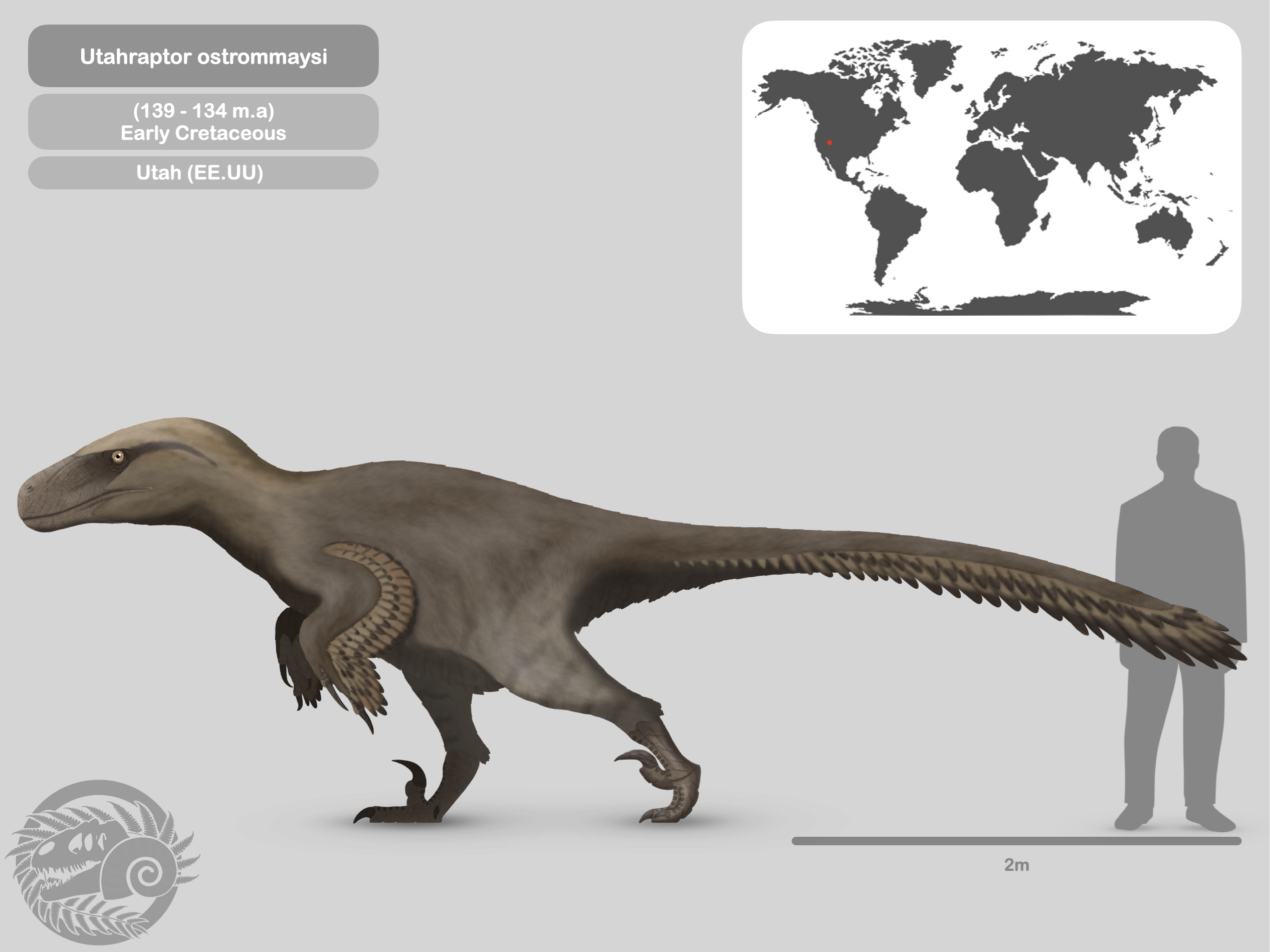 Uath Raptor Size Perfil Utahraptor ostrommaysi by PaleoHistoric on DeviantArt