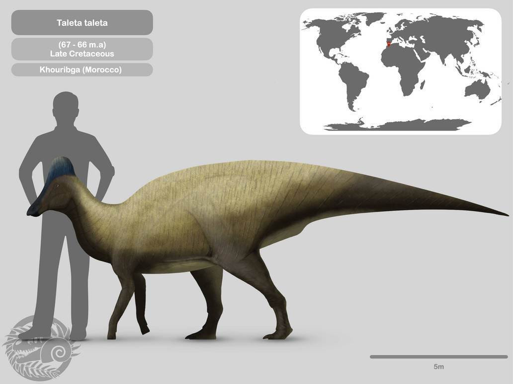 Talalerata Perfil Taleta taleta by PaleoHistoric on DeviantArt