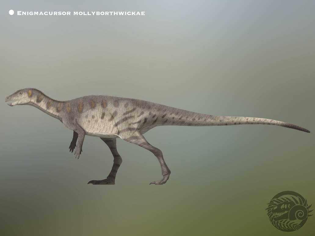 Enigmacursor mollyborthwickae @ PaleoHistoric by PaleoHistoric on ...