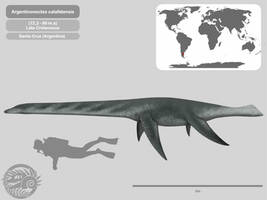 Perfil Argentinonectes calafatensis