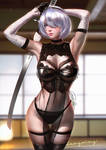 2B Sexy lingerie