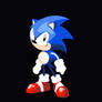 Sonic the Hedgehog: Junio Animation