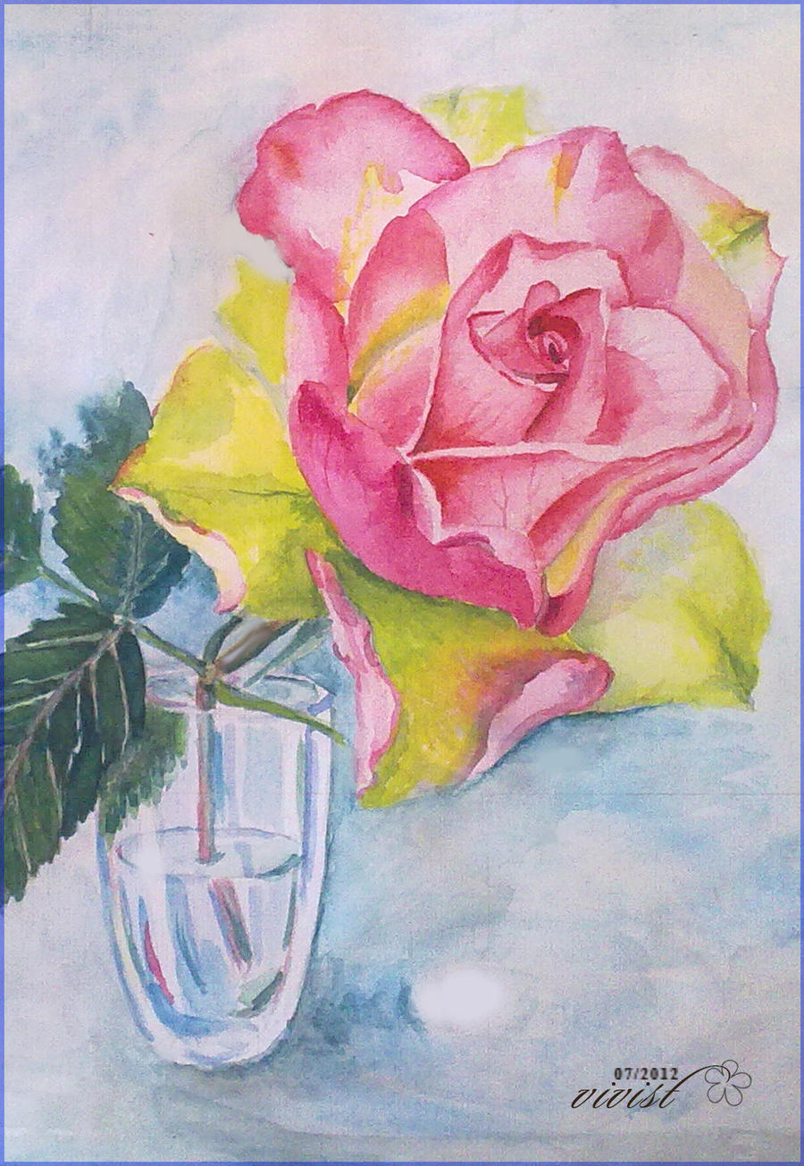 Rose in the glass