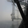 morning fog
