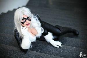 Black Cat~