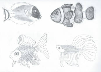 Fish Studies #2