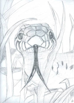 Quick Sketch: Garter Snake