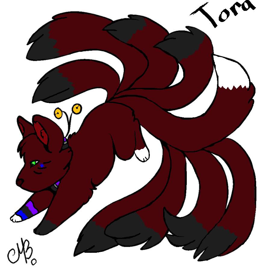 Tora