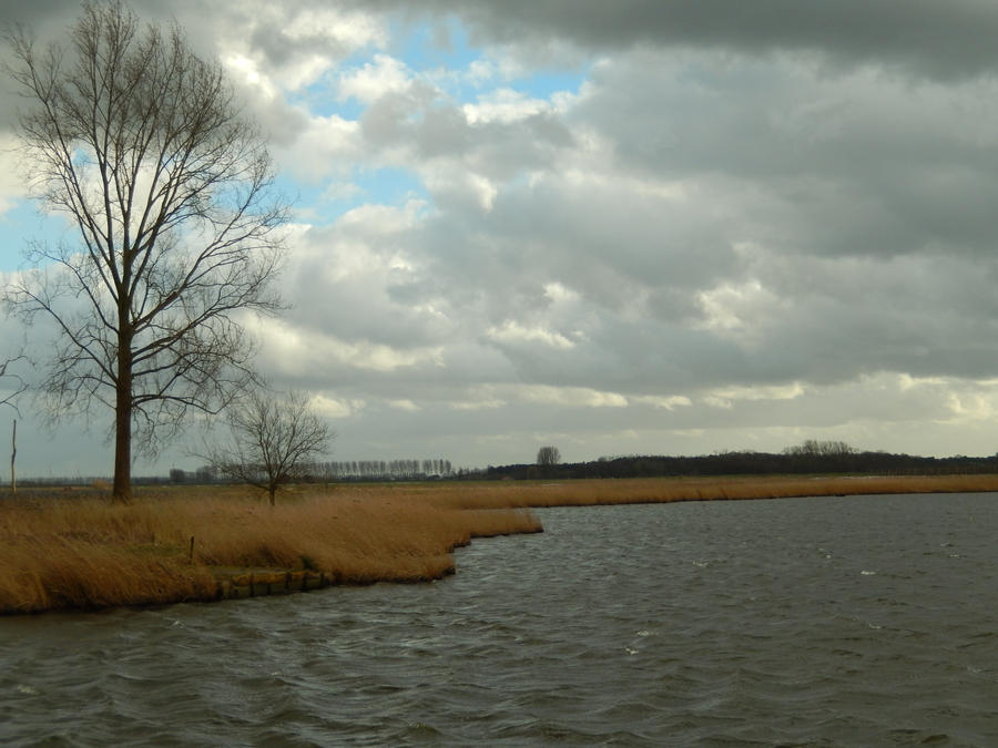 Strong wind with a little bit of blue sky