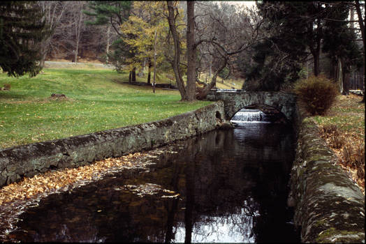 Bridge Over Stilled Waters