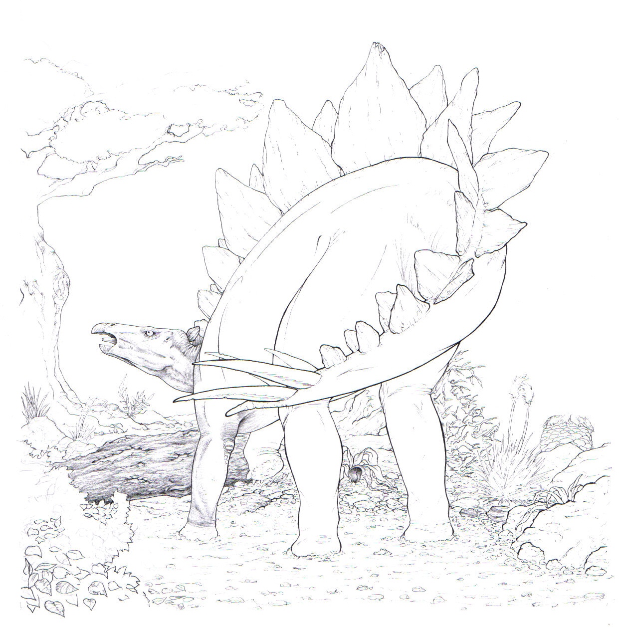 unfinished stegosaur