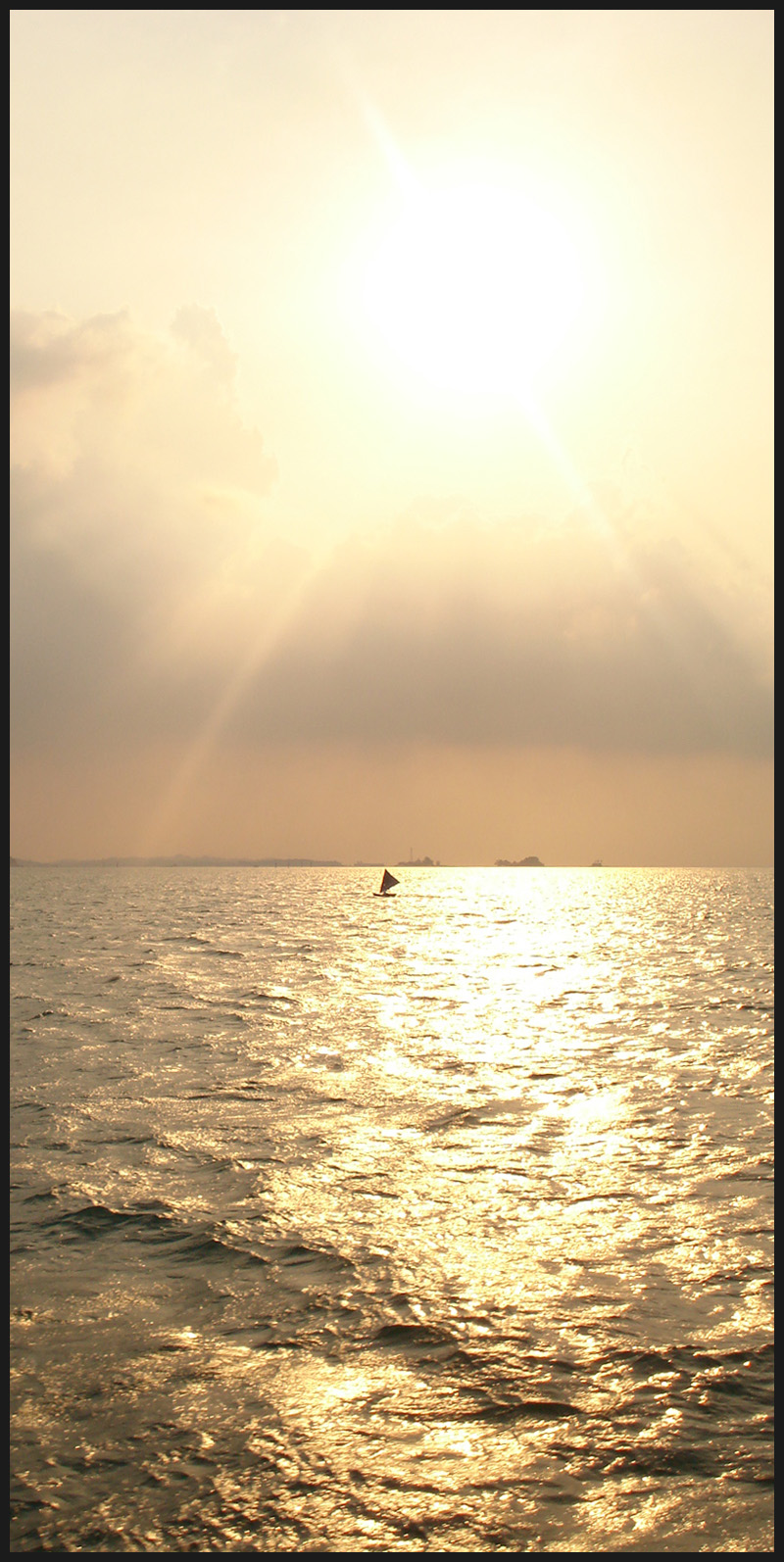 Lone Angler