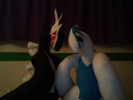 shadow lugia and normal lugia
