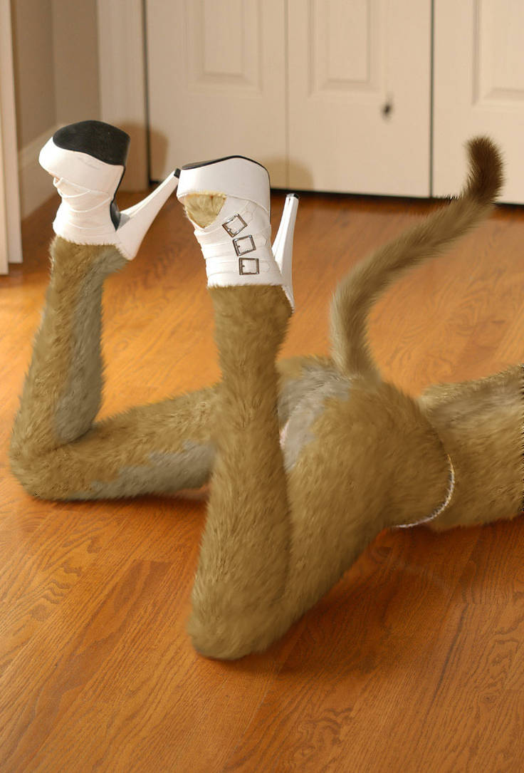 Growing Tail By Janys On DeviantArt growing-tail-by-janys-on-deviantart