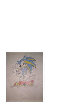 streak the hedgehog