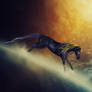 The sun will be guiding you (AT)