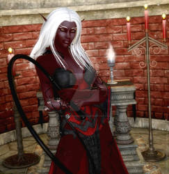 The Drow Priestess