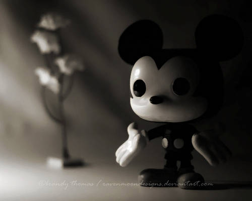 Mickey's Balance of Light