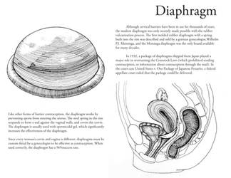 Diaphragm Diagram